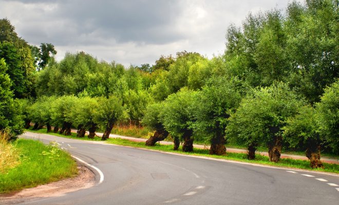 Praca za kierownicą ciężarówki